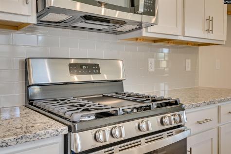 718 Miller Tree Way Elgin SC 29045