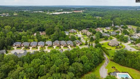 404 Old Carrington Parkway Lexington SC 29072