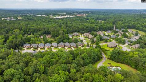 404 Old Carrington Parkway Lexington SC 29072