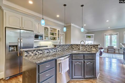 73 Cowdray Park Columbia SC 29223