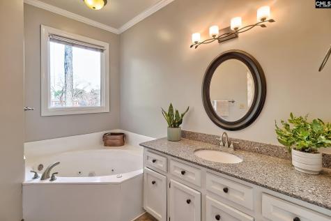 73 Cowdray Park Columbia SC 29223