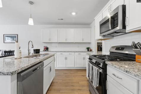 208 Flatsedge Court Lexington SC 29072