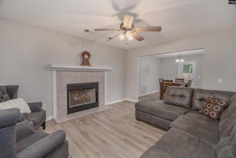 105 Brook Hollow Court Lexington SC 29072