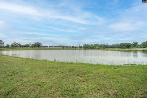 105 Brook Hollow Court Lexington SC 29072