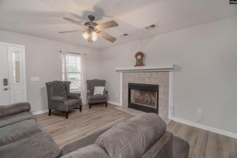 105 Brook Hollow Court Lexington SC 29072