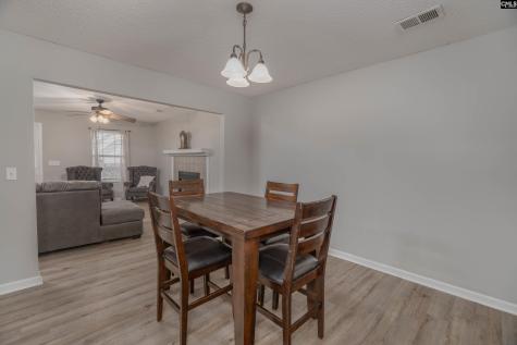 105 Brook Hollow Court Lexington SC 29072