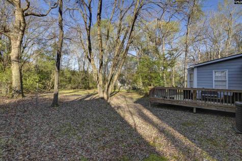 337 Chapelwhite Road Irmo SC 29063