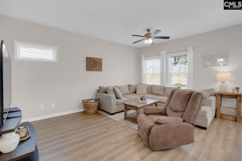 226 Wahoo Circle Irmo SC 29063