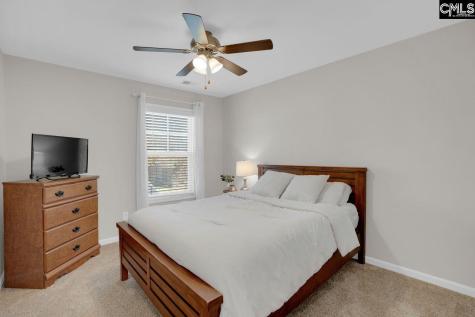 226 Wahoo Circle Irmo SC 29063