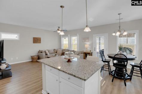 226 Wahoo Circle Irmo SC 29063