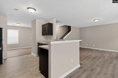 6 Elders Pond Court Columbia SC 29229