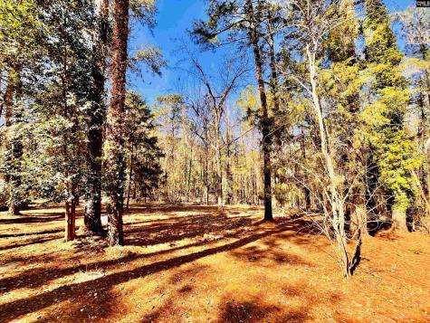 1301 Winterwood Road Columbia SC 29203