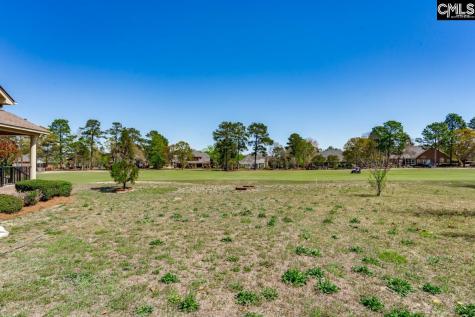 296 Glenn Village Circle Blythewood SC 29016-8332