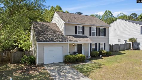 213 Tea Olive Avenue Lexington SC 29073