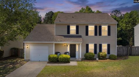 213 Tea Olive Avenue Lexington SC 29073