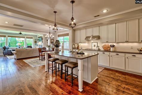 217 Otter Passage Road Lexington SC 29072
