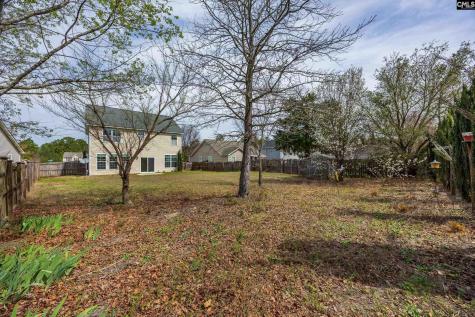 152 Mesa Verde Drive Lexington SC 29073