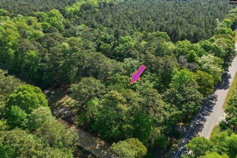 663 Hickory Hill Road Orangeburg SC 29115