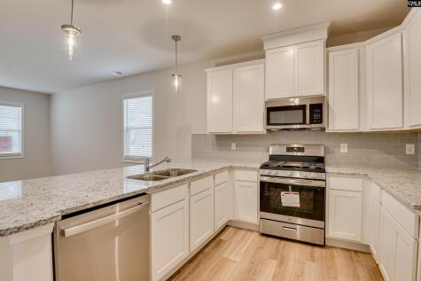 466 Lady Liberty Way Lexington SC 29073