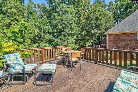 141 Giaben Drive Lexington SC 29072