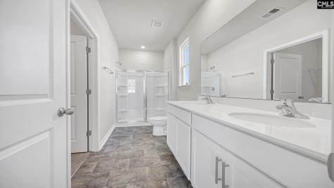 437 Leathertree Lane Blythewood SC 29016