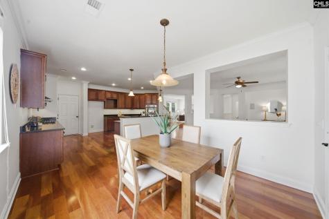 420 Plymouth Pass Drive Lexington SC 29072-6740