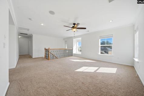 420 Plymouth Pass Drive Lexington SC 29072-6740