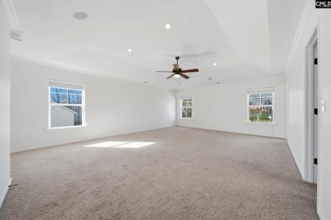 420 Plymouth Pass Drive Lexington SC 29072-6740