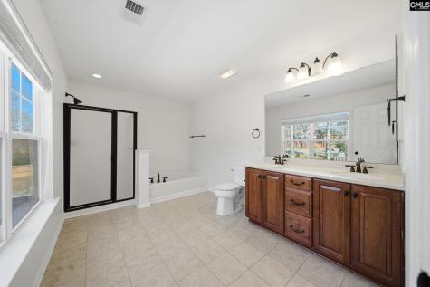 420 Plymouth Pass Drive Lexington SC 29072-6740