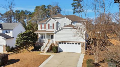 420 Plymouth Pass Drive Lexington SC 29072-6740