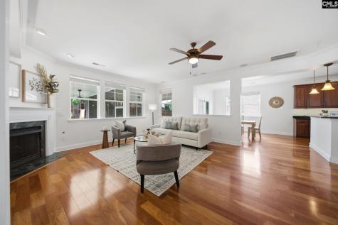 420 Plymouth Pass Drive Lexington SC 29072-6740