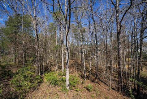6 Gidding Court Irmo SC 29063