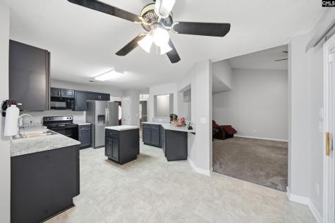 205 Alderston Way Columbia SC 29229