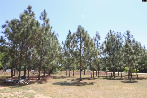 6227 Hollow Creek Road Salley SC 29137