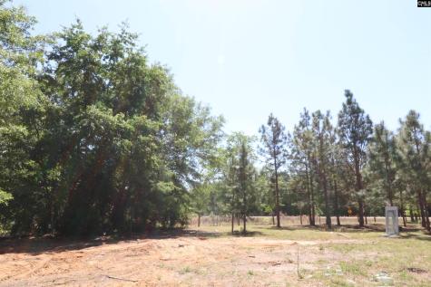 6227 Hollow Creek Road Salley SC 29137