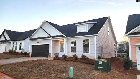 116 Locomotive (Lot 04) Lane Irmo SC 29063