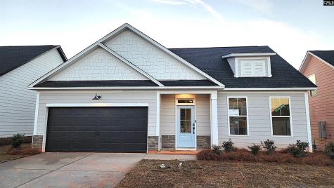 116 Locomotive (Lot 04) Lane Irmo SC 29063