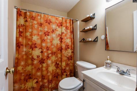 128 Sandy Creek Court Gaston SC 29053