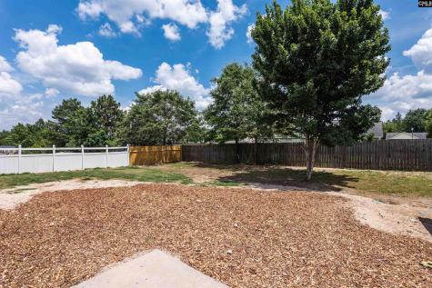 128 Sandy Creek Court Gaston SC 29053