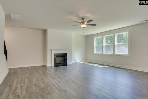 788 Oak Valley Drive Blythewood SC 29016