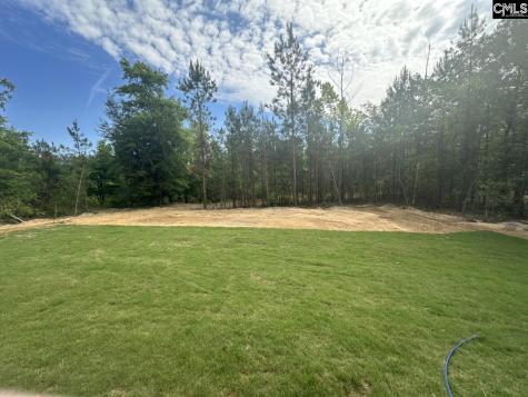 895 Horses Neck Road Swansea SC 29160