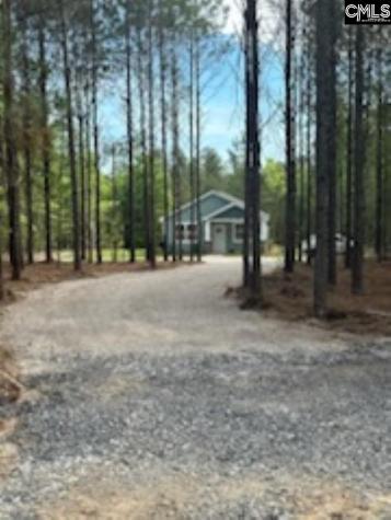 895 Horses Neck Road Swansea SC 29160