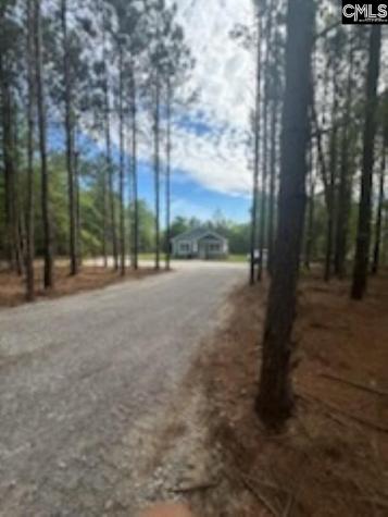 895 Horses Neck Road Swansea SC 29160