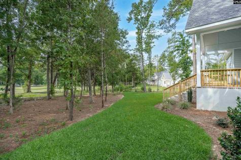 549 Misty Banks Drive Chapin SC 29036