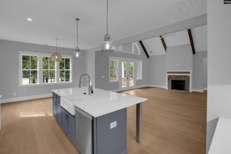 549 Misty Banks Drive Chapin SC 29036