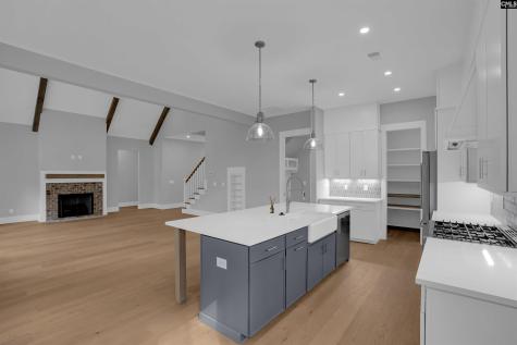 549 Misty Banks Drive Chapin SC 29036