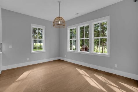 549 Misty Banks Drive Chapin SC 29036