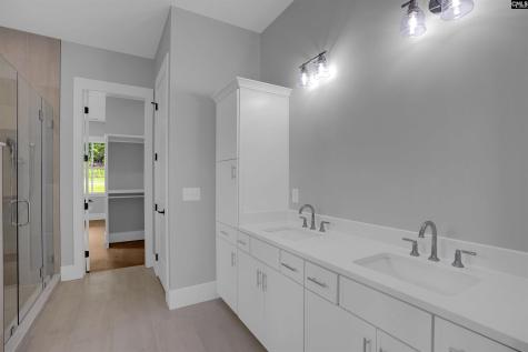549 Misty Banks Drive Chapin SC 29036