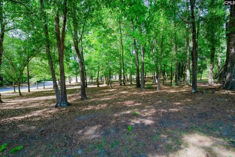 40 Brooksby Court Columbia SC 29209-4622
