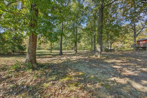 1109 Natures Cove Road Saluda SC 29138